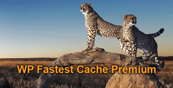 WP Fastest Cache Premium 快速缓存WordPress插件 – v1.7.0